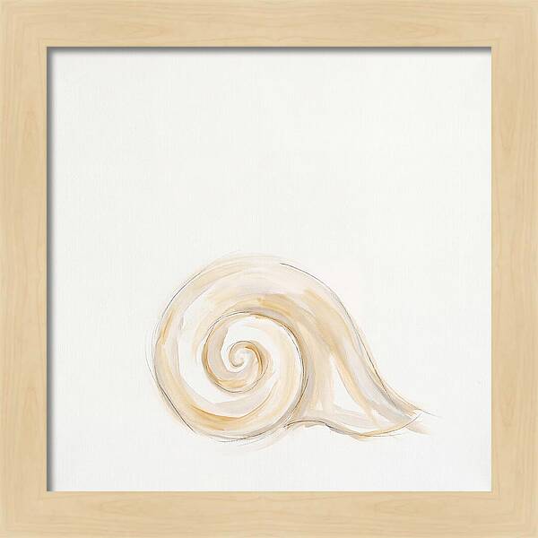 Conch Shell Elegance