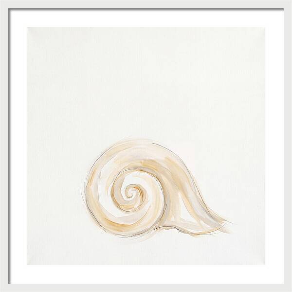 Conch Shell Elegance