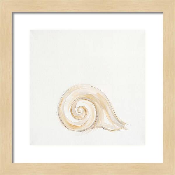 Conch Shell Elegance