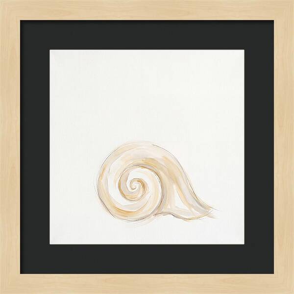 Conch Shell Elegance