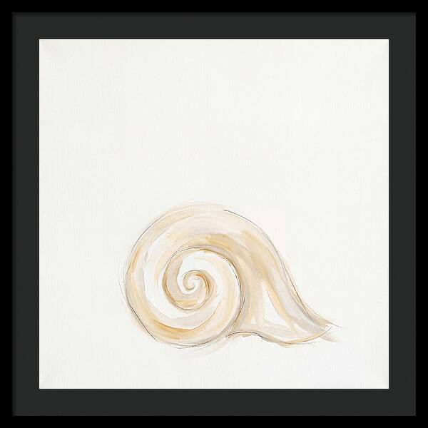 Conch Shell Elegance