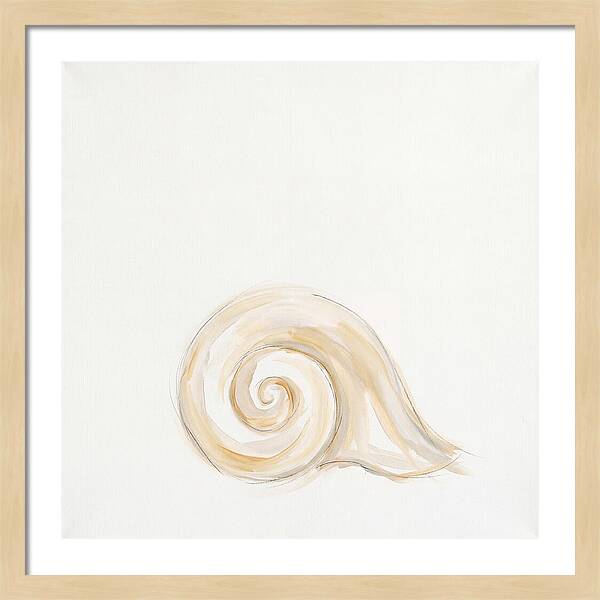 Conch Shell Elegance
