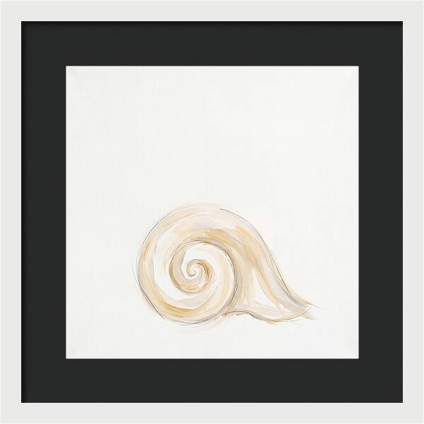 Conch Shell Elegance