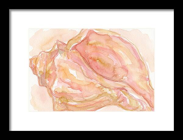 Conch Shell Watercolor Study