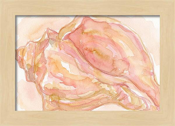 Conch Shell Watercolor Study