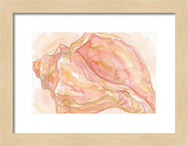 Conch Shell Watercolor Study