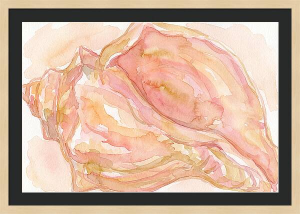 Conch Shell Watercolor Study