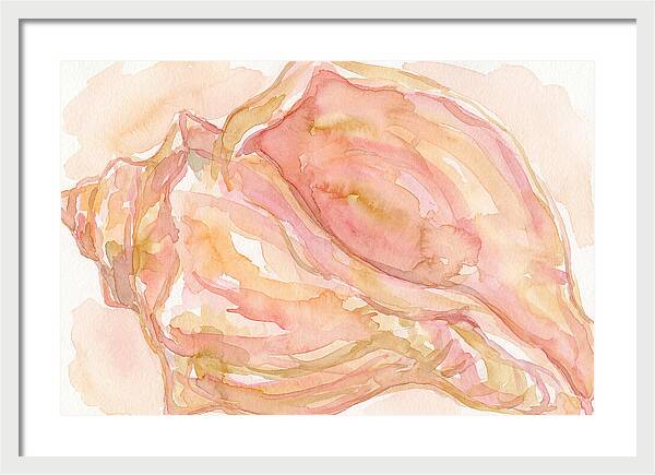 Conch Shell Watercolor Study