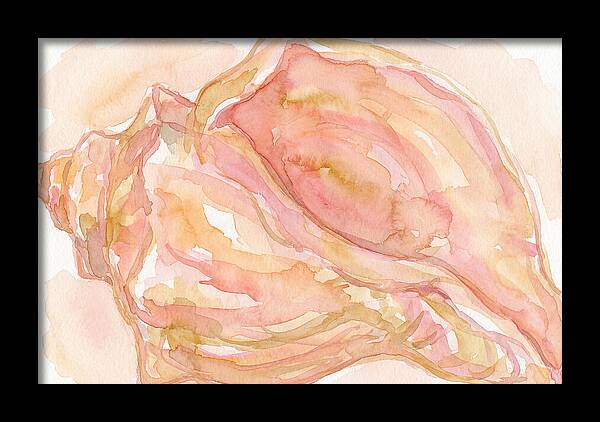 Conch Shell Watercolor Study