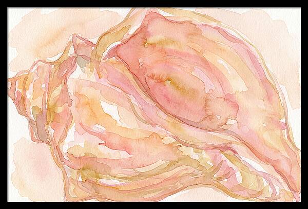 Conch Shell Watercolor Study