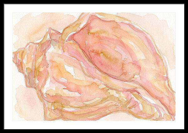 Conch Shell Watercolor Study