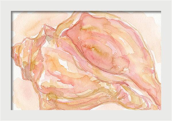 Conch Shell Watercolor Study