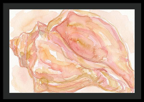 Conch Shell Watercolor Study