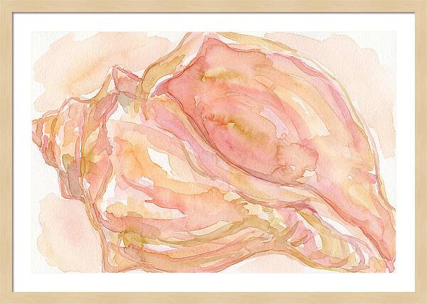 Conch Shell Watercolor Study