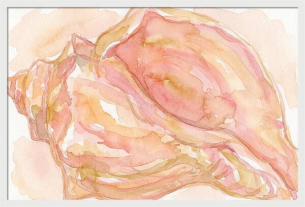 Conch Shell Watercolor Study