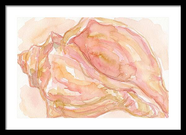 Conch Shell Watercolor Study