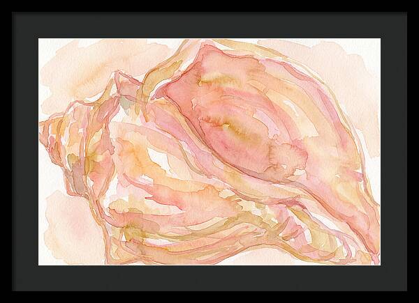Conch Shell Watercolor Study