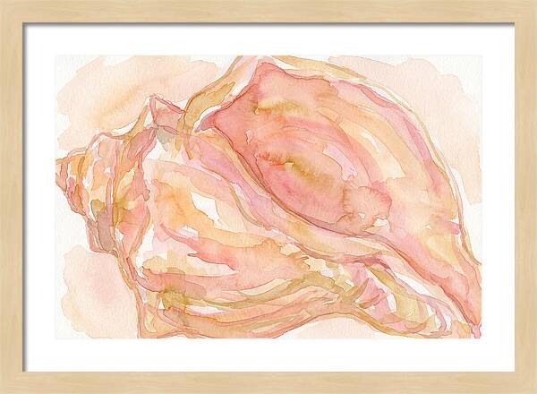 Conch Shell Watercolor Study