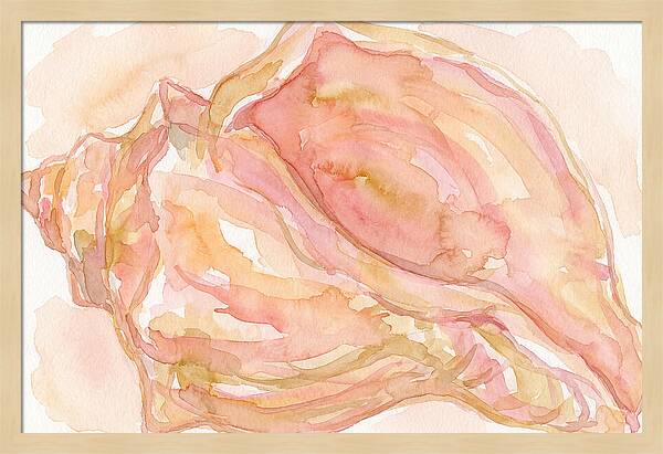 Conch Shell Watercolor Study