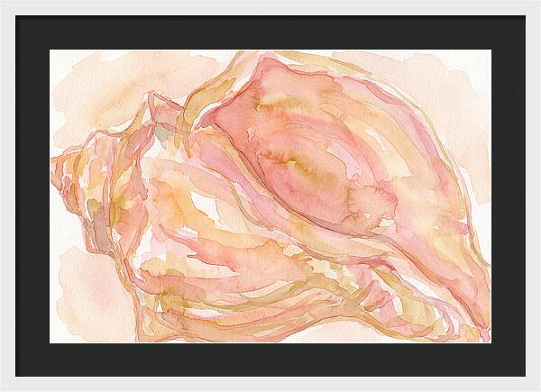 Conch Shell Watercolor Study