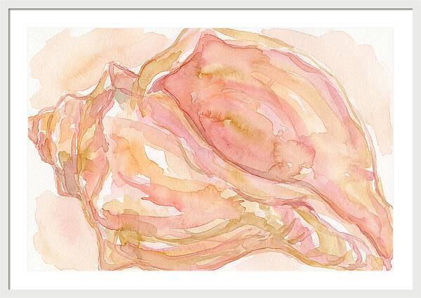 Conch Shell Watercolor Study