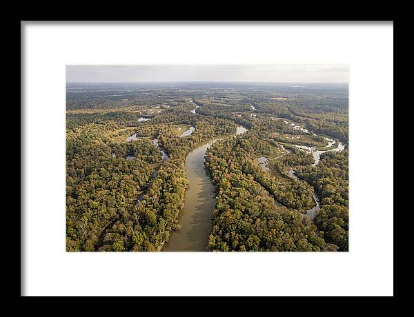 Congaree River From Above