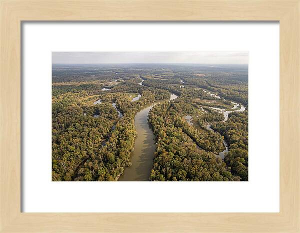 Congaree River From Above