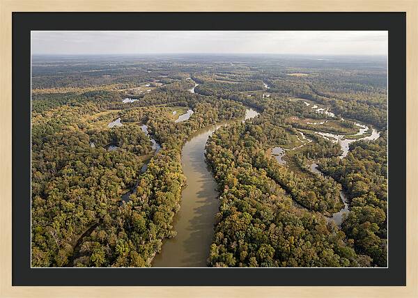 Congaree River From Above