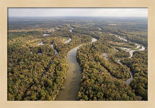 Congaree River From Above