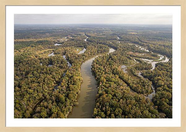 Congaree River From Above