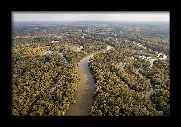 Congaree River From Above