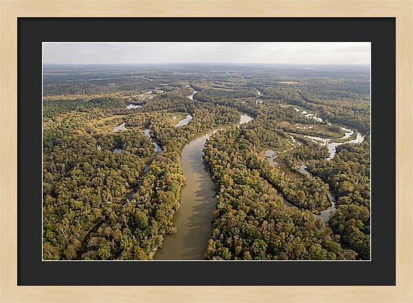 Congaree River From Above