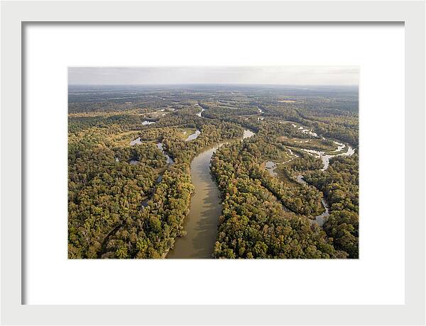 Congaree River From Above