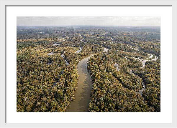 Congaree River From Above