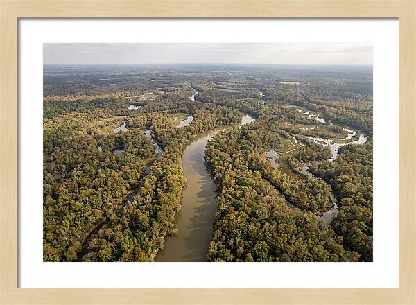 Congaree River From Above