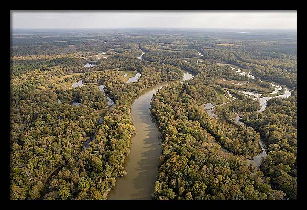 Congaree River From Above