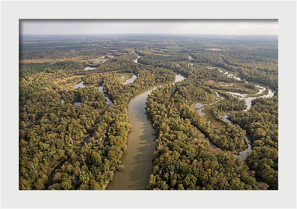 Congaree River From Above