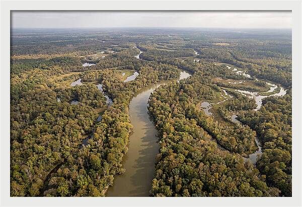 Congaree River From Above