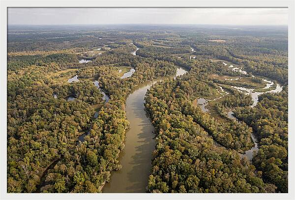 Congaree River From Above
