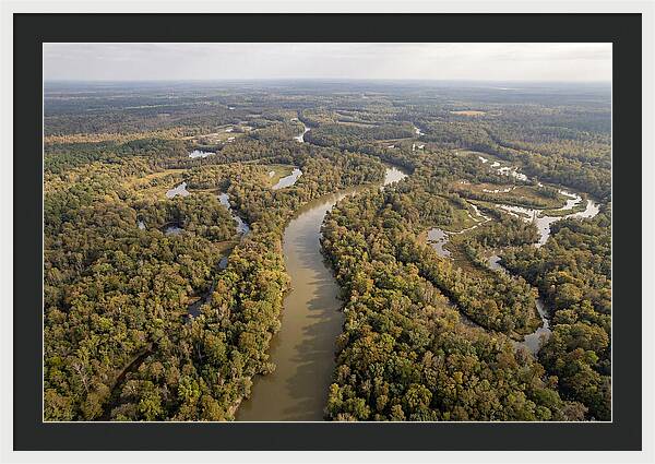 Congaree River From Above
