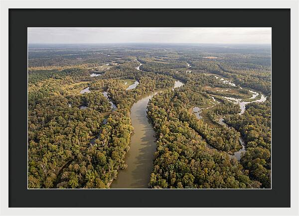 Congaree River From Above