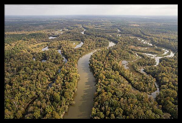 Congaree River From Above