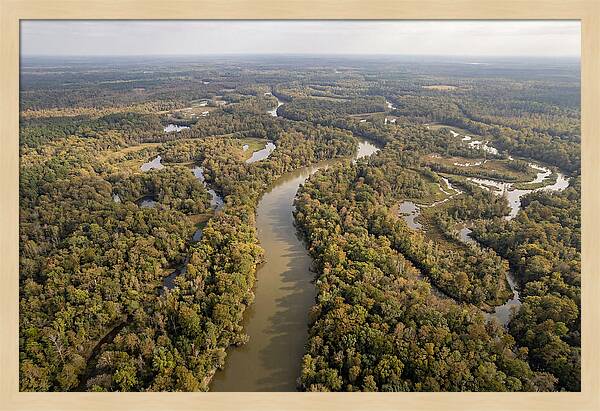 Congaree River From Above