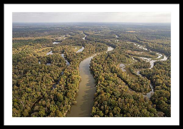 Congaree River From Above