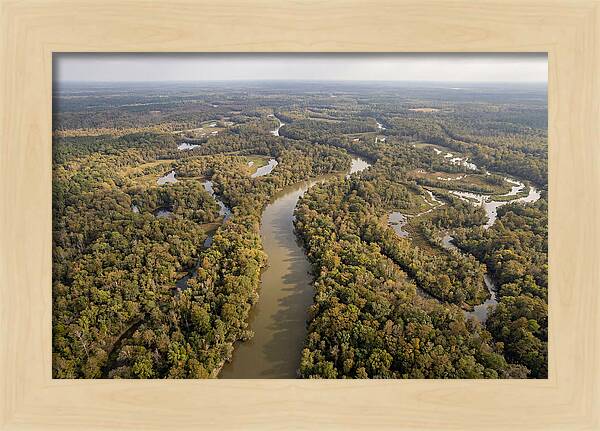Congaree River From Above