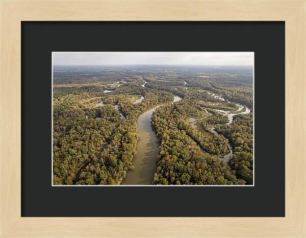 Congaree River From Above