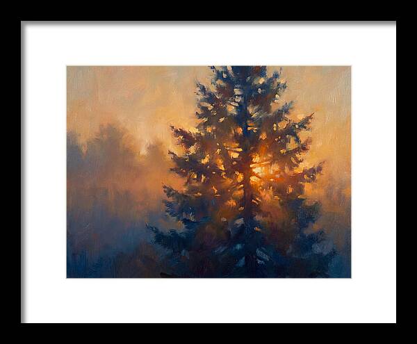 Conifer Tree At Dusk