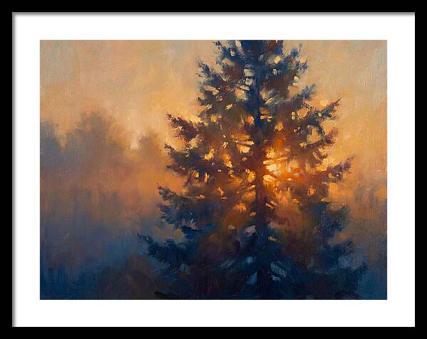 Conifer Tree At Dusk
