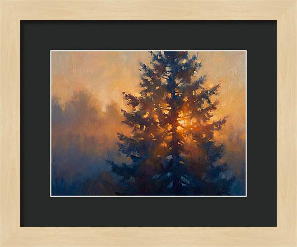 Conifer Tree At Dusk