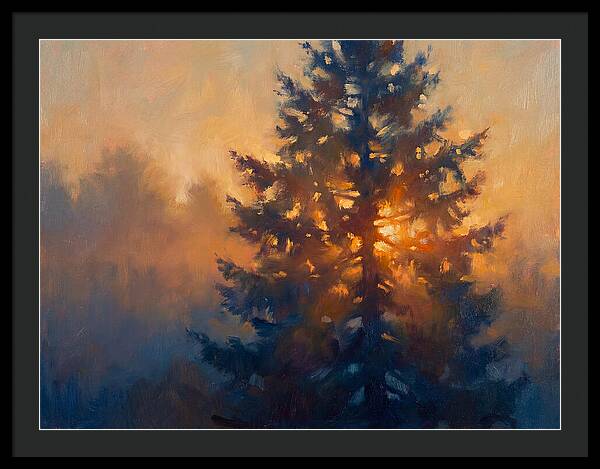 Conifer Tree At Dusk